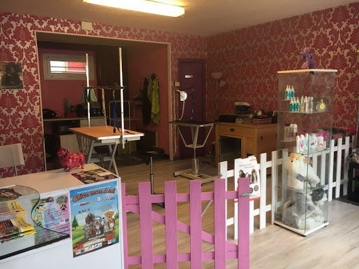 La Boule De Poils, salon de toilettage sur Groomie.fr et au 2 ter Rue Emile Basly, 62460 Divion