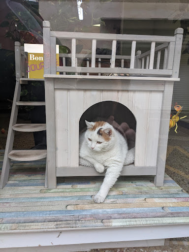 La Clochette Toilettage, salon de toilettage sur Groomie.fr et au 13 Rue Victor Hugo, 30600 Vauvert