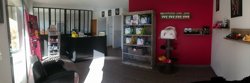 La bande à cabot, salon de toilettage sur Groomie.fr et au 31 Imp. du Mille-Club, 38200 Chuzelles