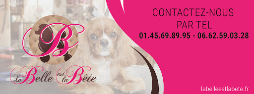 La belle est la bête : Toiletteur 94, salon de toilettage sur Groomie.fr et au 44 Rue de Paris, 94470 Boissy-Saint-Léger