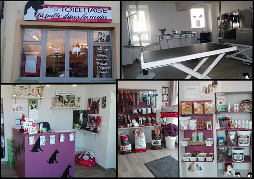 La patte dans la main, salon de toilettage sur Groomie.fr et au 6 Rue Lafayette, 58170 Luzy