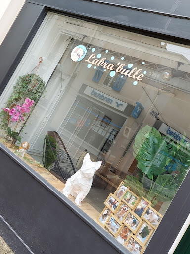 Labra'bulle, salon de toilettage sur Groomie.fr et au 25 Rue Gambetta, 28200 Châteaudun