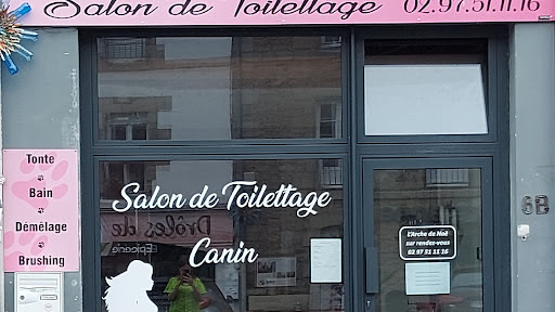 L'arche De Noë, salon de toilettage sur Groomie.fr et au 6 bis Pl. du Marché, 56150 Baud