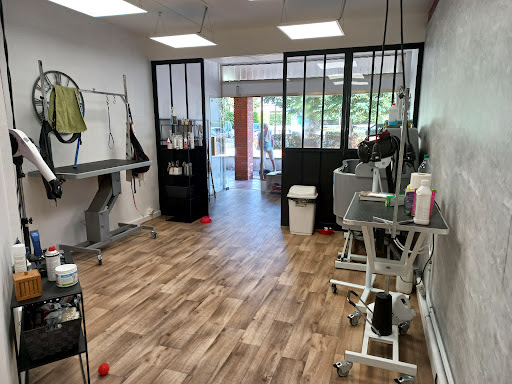 Lave ta patte - Salon de toilettage canin et félin, salon de toilettage sur Groomie.fr et au 12 Pl. du Commerce, 31750 Escalquens