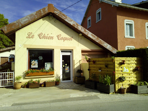 Le Chien Coquet, salon de toilettage sur Groomie.fr et au 3 Rue de Boron, 90600 Grandvillars