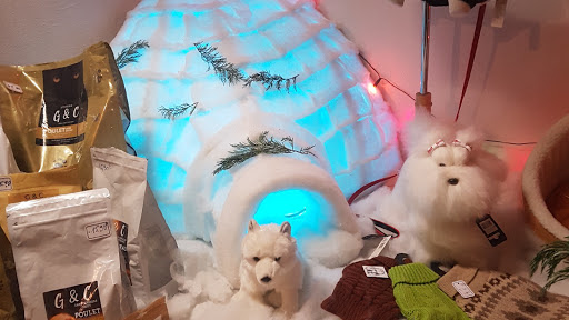 Le Chien Pimpant, salon de toilettage sur Groomie.fr et au 13 Rue Roquille, 42800 Rive-de-Gier