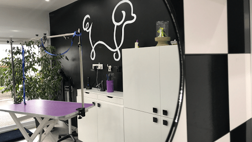 Le Salon de Jump Toilettage, salon de toilettage sur Groomie.fr et au 34 Av. de la République, 63800 Cournon-d'Auvergne
