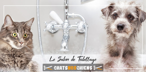 Le Salon de Toilettage | Chats Nos Chiens, salon de toilettage sur Groomie.fr et au 1051 Bd de l'Industrie, 33260 La Teste-de-Buch