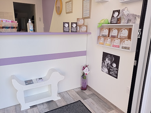 Le théorème de ta laisse, salon de toilettage sur Groomie.fr et au 3 Rue des Lavandières, 79200 Pompaire