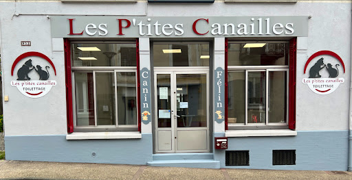 Les P'Tites Canailles, salon de toilettage sur Groomie.fr et au 52 Rue Pierre Semard, 3260 Saint-Germain-des-Fossés