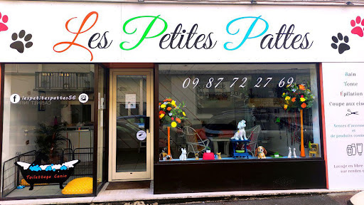 Les Petites Pattes, salon de toilettage sur Groomie.fr et au 5 Rue Georges Gaigneux, 56100 Lorient