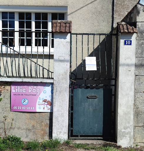 Lilie Dog, salon de toilettage sur Groomie.fr et au 10 Rue de Tracy, 58150 Tracy-sur-Loire