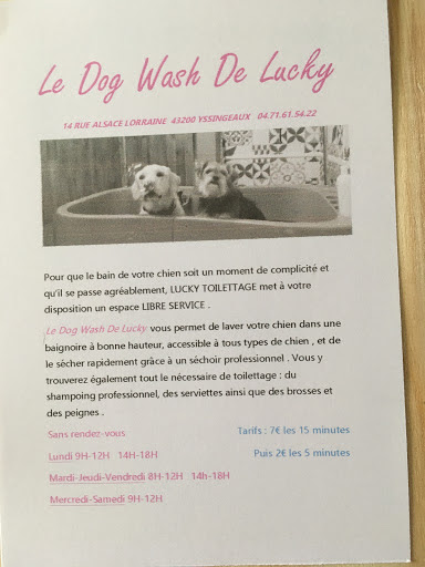 Lucky Toilettage, salon de toilettage sur Groomie.fr et au 14 Rue Alsace Lorraine, 43200 Yssingeaux