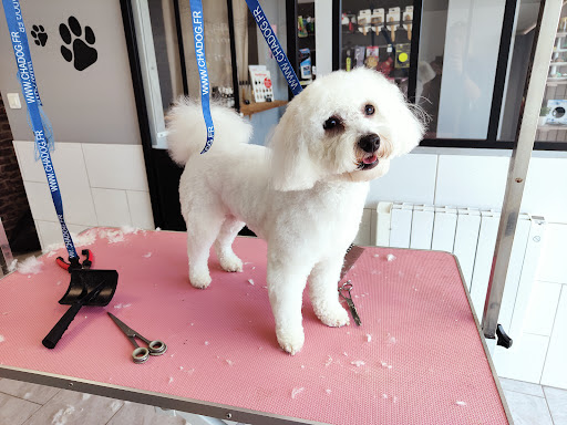 Lux'O Poils, salon de toilettage sur Groomie.fr et au 8 Rte de Crèvecoeur, 60210 Grandvilliers