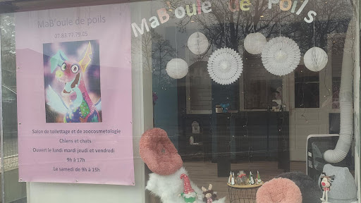 MaB'oule de Poils, salon de toilettage sur Groomie.fr et au 86 Bd du Président Wilson bât A, 39100 Dole