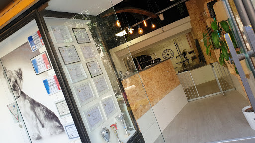 Maison Cococanin, salon de toilettage sur Groomie.fr et au 36 Av. du Char Verdun, 83160 La Valette-du-Var