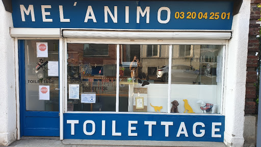 Mel'Animo, salon de toilettage sur Groomie.fr et au 209 bis Rue du Général de Gaulle, 59370 Mons-en-Barœul